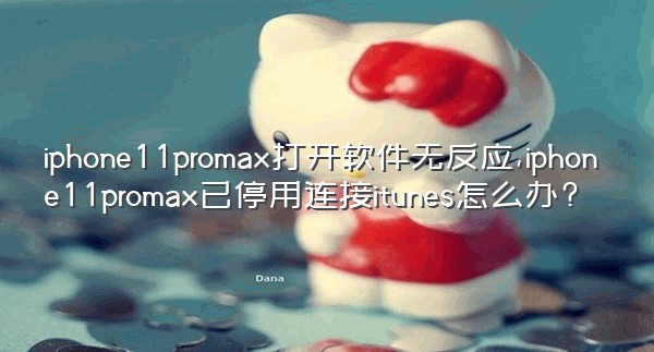 iphone11promax打开软件无反应,iphone11promax已停用连接itunes怎么办?