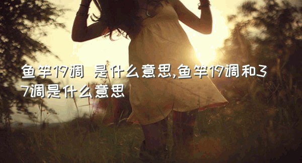 鱼竿19调 是什么意思,鱼竿19调和37调是什么意思