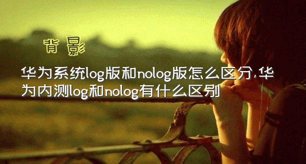 华为系统log版和nolog版怎么区分,华为内测log和nolog有什么区别