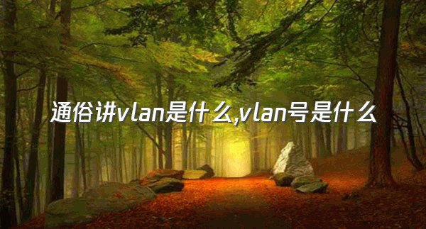 通俗讲vlan是什么,vlan号是什么