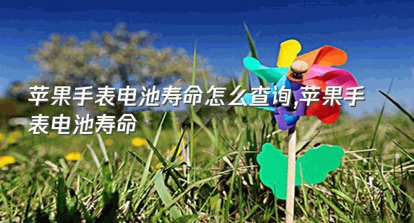 苹果手表电池寿命怎么查询,苹果手表电池寿命