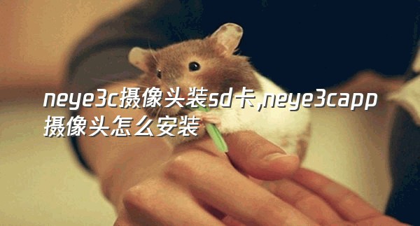 neye3c摄像头装sd卡,neye3capp摄像头怎么安装