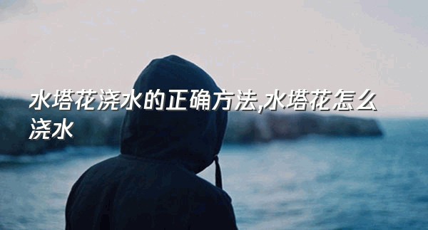 水塔花浇水的正确方法,水塔花怎么浇水