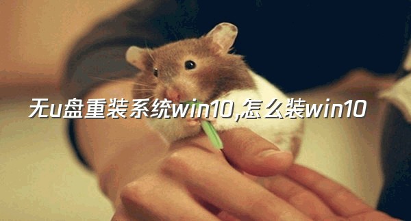 无u盘重装系统win10,怎么装win10