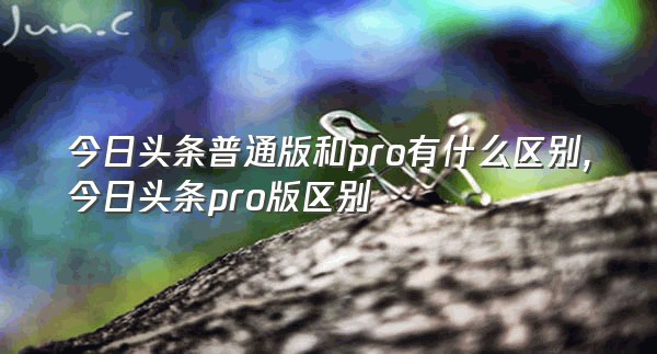 今日头条普通版和pro有什么区别,今日头条pro版区别