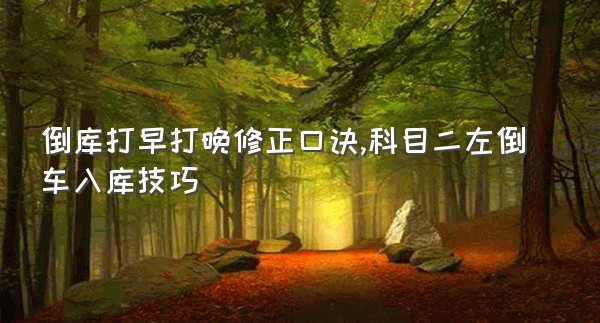 倒库打早打晚修正口诀,科目二左倒车入库技巧