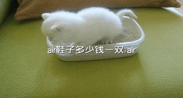 air鞋子多少钱一双,air