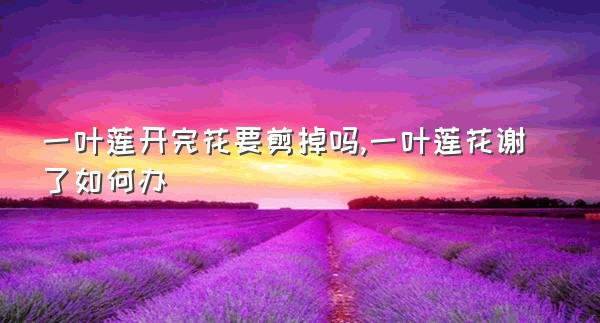 一叶莲开完花要剪掉吗,一叶莲花谢了如何办