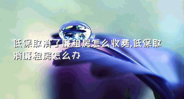 低保取消了廉租房怎么收费,低保取消廉租房怎么办