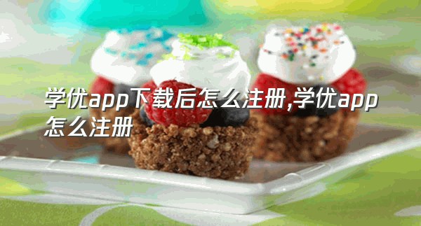 学优app下载后怎么注册,学优app怎么注册