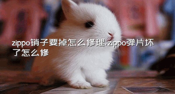 zippo销子要掉怎么修理,zippo弹片坏了怎么修