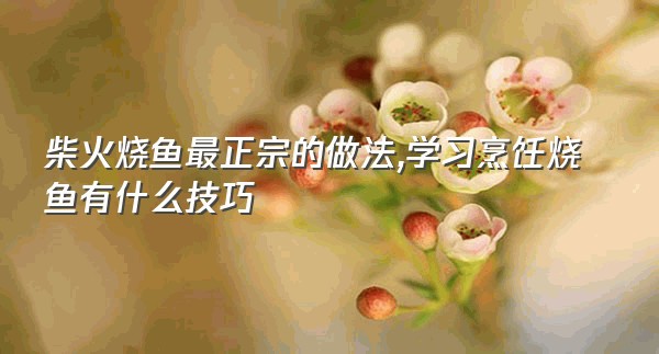 柴火烧鱼最正宗的做法,学习烹饪烧鱼有什么技巧