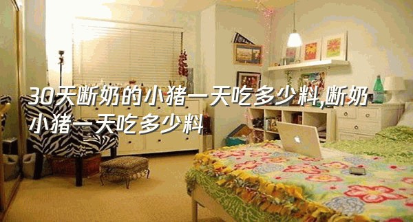 30天断奶的小猪一天吃多少料,断奶小猪一天吃多少料