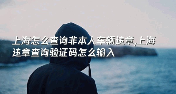 上海怎么查询非本人车辆违章,上海违章查询验证码怎么输入