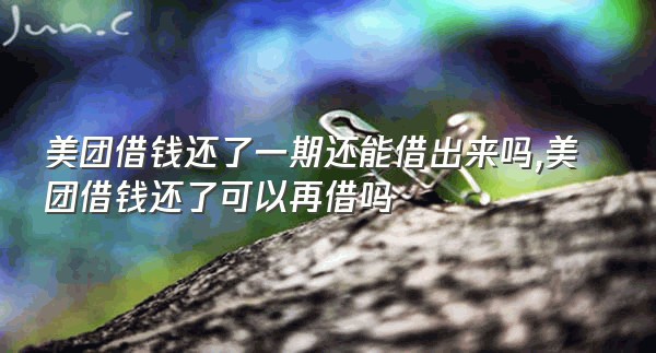 美团借钱还了一期还能借出来吗,美团借钱还了可以再借吗