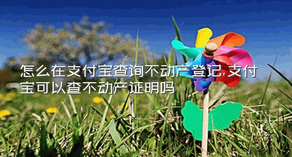 怎么在支付宝查询不动产登记,支付宝可以查不动产证明吗