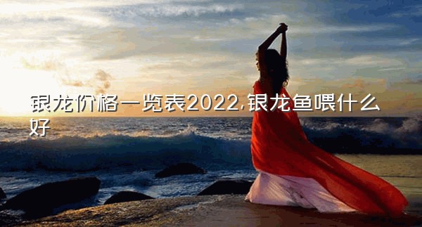 银龙价格一览表2022,银龙鱼喂什么好