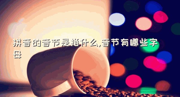 拼音的音节是指什么,音节有哪些字母