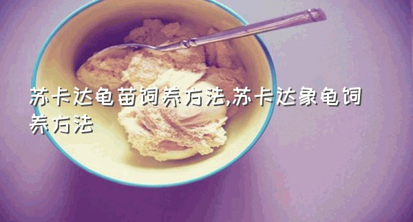 苏卡达龟苗饲养方法,苏卡达象龟饲养方法