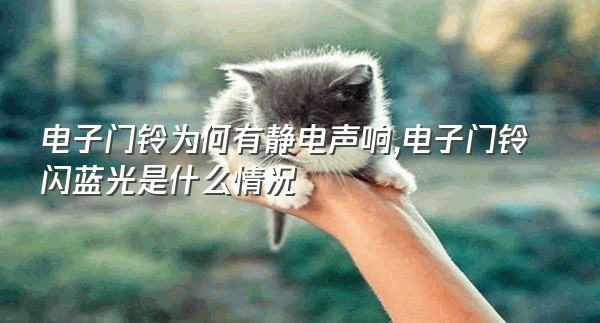 电子门铃为何有静电声响,电子门铃闪蓝光是什么情况