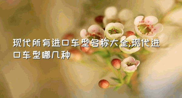 现代所有进口车型名称大全,现代进口车型哪几种