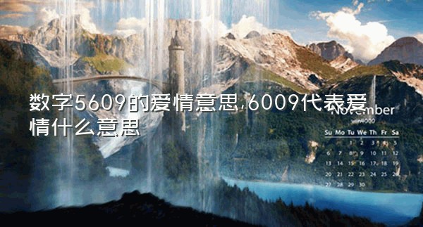 数字5609的爱情意思,6009代表爱情什么意思