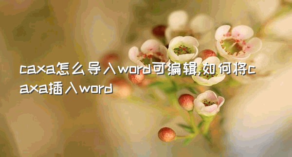 caxa怎么导入word可编辑,如何将caxa插入word