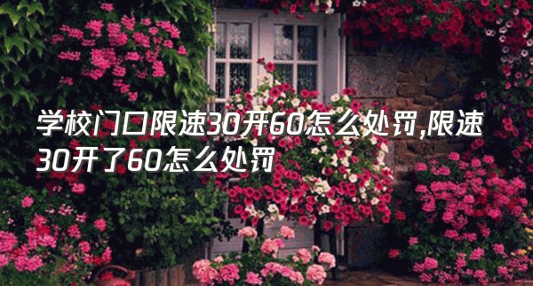 学校门口限速30开60怎么处罚,限速30开了60怎么处罚