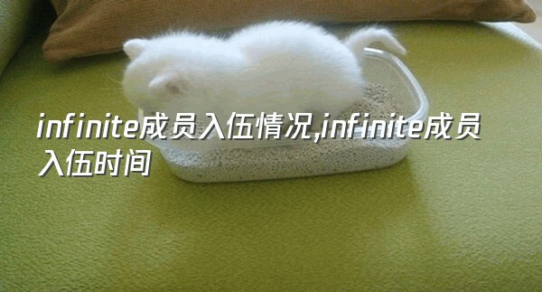 infinite成员入伍情况,infinite成员入伍时间