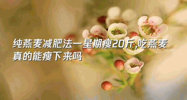 纯燕麦减肥法一星期瘦20斤,吃燕麦真的能瘦下来吗