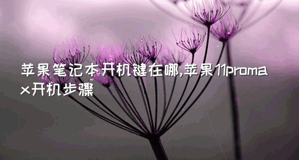 苹果笔记本开机键在哪,苹果11promax开机步骤