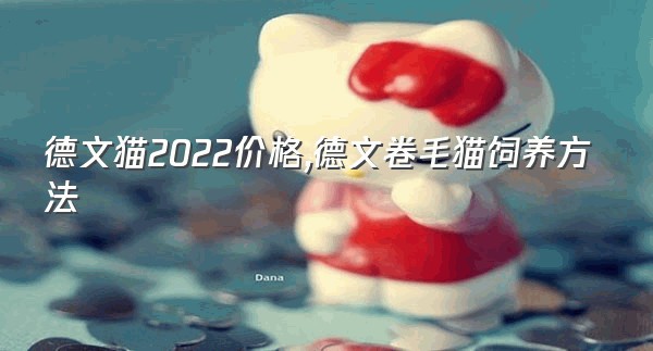 德文猫2022价格,德文卷毛猫饲养方法