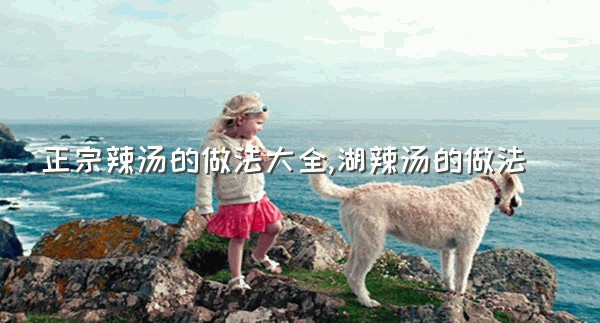 正宗辣汤的做法大全,湖辣汤的做法