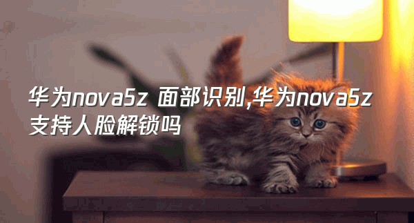 华为nova5z 面部识别,华为nova5z支持人脸解锁吗