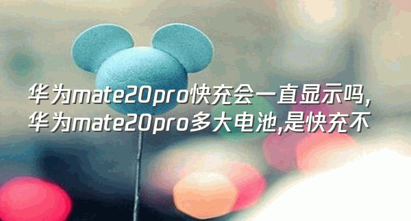 华为mate20pro快充会一直显示吗,华为mate20pro多大电池,是快充不