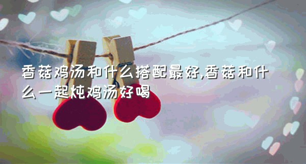 香菇鸡汤和什么搭配最好,香菇和什么一起炖鸡汤好喝