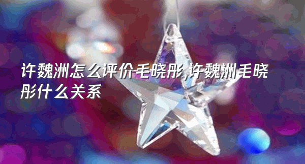 许魏洲怎么评价毛晓彤,许魏洲毛晓彤什么关系