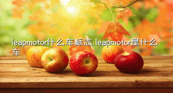 leapmotor什么车标志,leapmotor是什么车