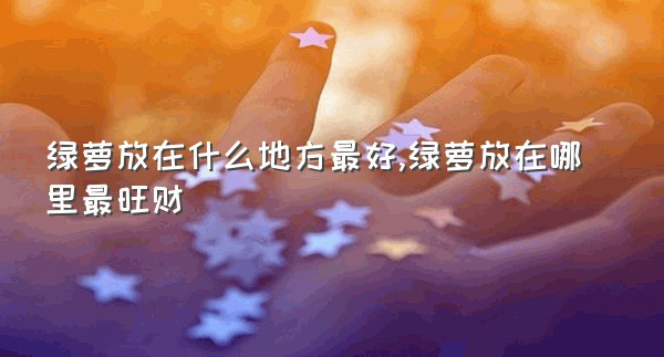 绿萝放在什么地方最好,绿萝放在哪里最旺财