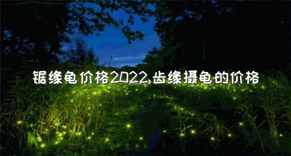 锯缘龟价格2022,齿缘摄龟的价格