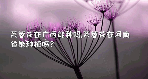 芙蓉花在广西能种吗,芙蓉花在河南省能种植吗?