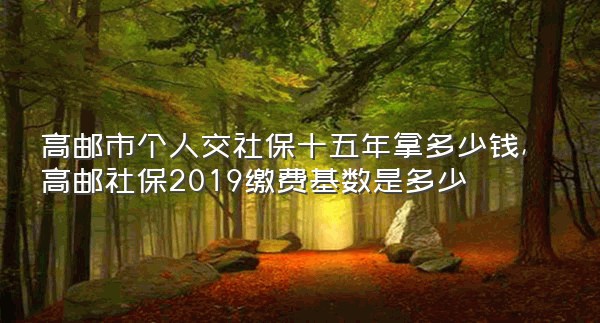 高邮市个人交社保十五年拿多少钱,高邮社保2019缴费基数是多少