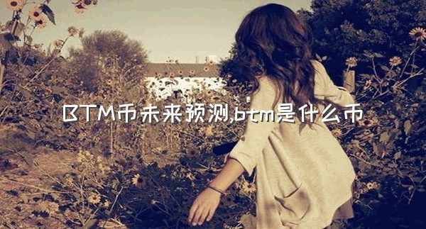 BTM币未来预测,btm是什么币