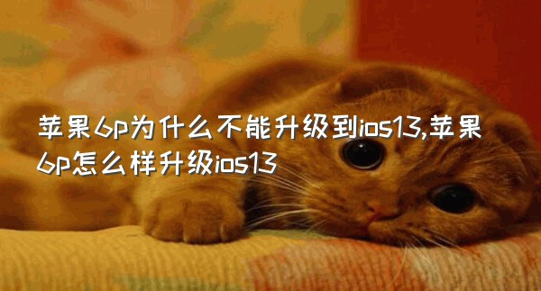 苹果6p为什么不能升级到ios13,苹果6p怎么样升级ios13