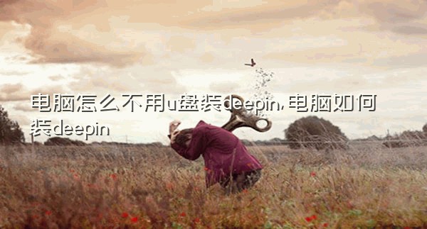 电脑怎么不用u盘装deepin,电脑如何装deepin