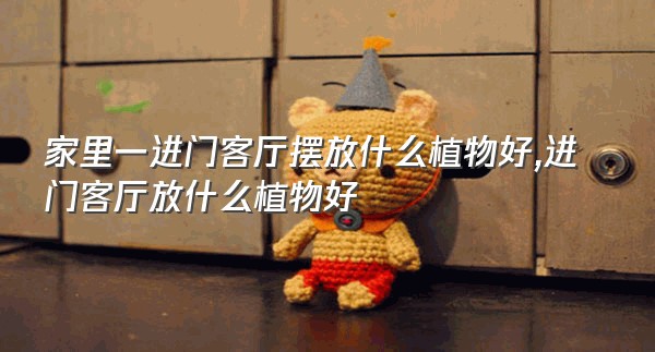 家里一进门客厅摆放什么植物好,进门客厅放什么植物好