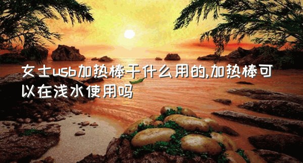 女士usb加热棒干什么用的,加热棒可以在浅水使用吗