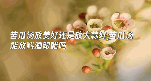 苦瓜汤放姜好还是放大蒜好,苦瓜汤能放料酒跟醋吗