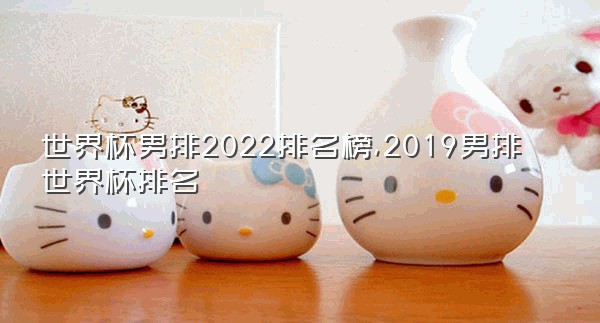 世界杯男排2022排名榜,2019男排世界杯排名