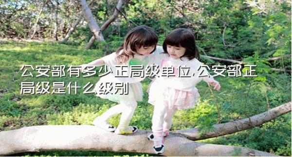 公安部有多少正局级单位,公安部正局级是什么级别